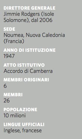 Quello che è piccole piaghe sul membro