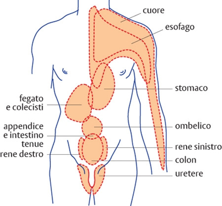 Dolore In Enciclopedia Dei Ragazzi