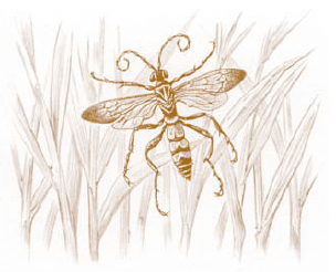 aldo scarpe stringate