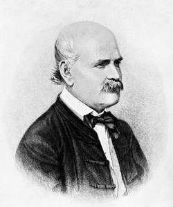 Semmelweis, Ignác Fülöp