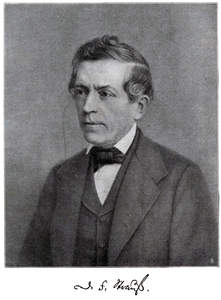 Strauss, David Friedrich