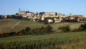 Vignale Monferrato