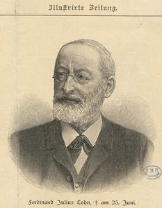 Cohn, Ferdinand Julius