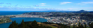 Dunedin