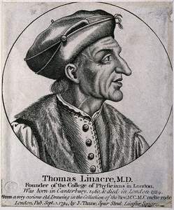 Linacre, Thomas