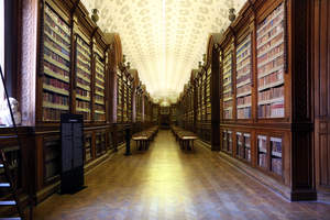 Palatina, Biblioteca