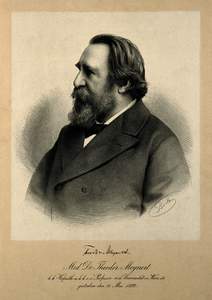 Meynert, Theodor Hermann
