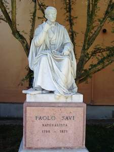 Savi, Paolo