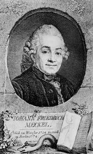 Meckel, Johann Friedrich, il Vecchio