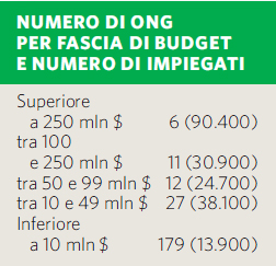 ONG per budget e impiegati