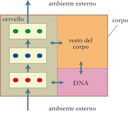 connessionismo