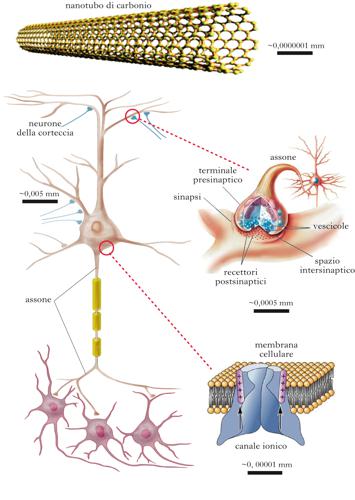 neuronanotecnologie