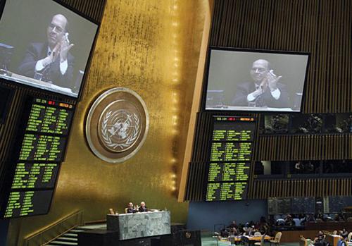 Assemblea Nazioni Unite