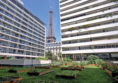 Orto urbano a Parigi