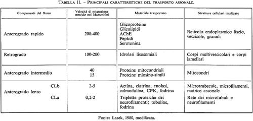 Tabella 2