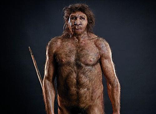 Homo heidelbergensis