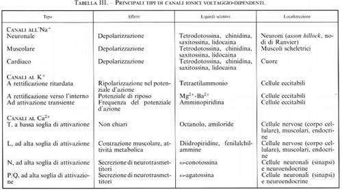 Tabella 3