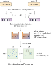 proteomica