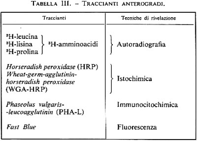 Tabella 3