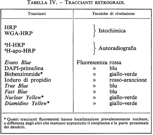 Tabella 4